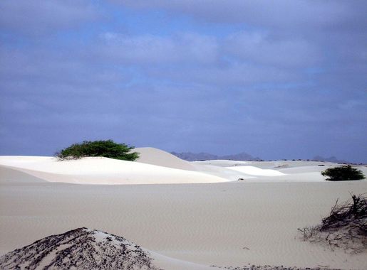 File:Deserto Viana, Boa Vista.jpg - Wikimedia Commons