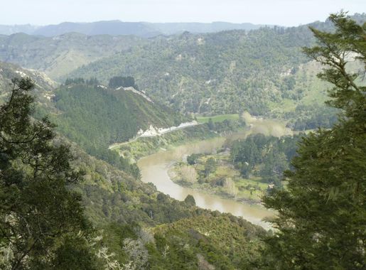 File:Atene Skyline Track - view of Ahuahu Valley, Whanganui National Park,  New Zealand (33).JPG - Wikimedia Commons