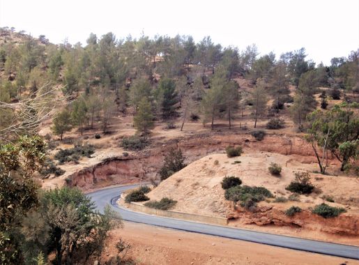 ملف:Al Bakour4.JPG - ويكيبيديا