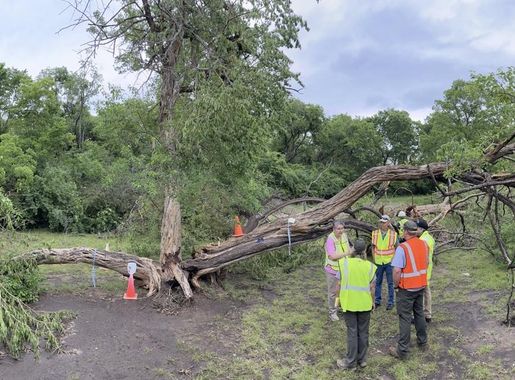 Chickasaw National Recreation Area's trees in the wake of a tornado - Chickasaw  National Recreation Area (U.S. National Park Service)