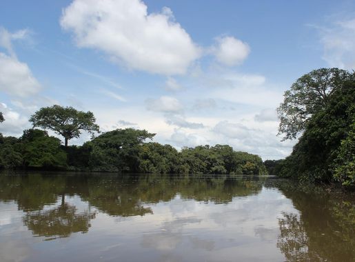 File:Little Scaries or Kaba River Outamba Kilimi Park.JPG - Wikimedia  Commons