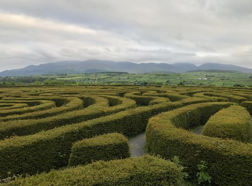 File:Castlewellan forest Park, peace maze.jpg - Wikimedia Commons