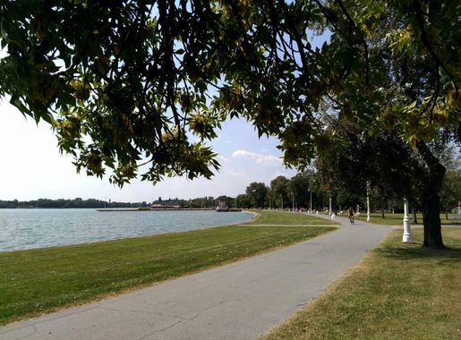 Free picture: landscape, Palic lake, Serbia, tree, nature, road, grass,  outdoor, sky, water