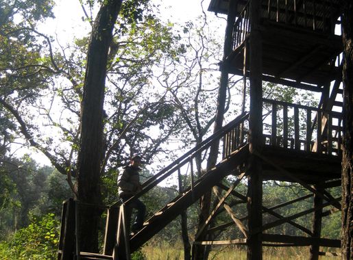 चित्र:Wooden Machan1.JPG - विकिपिडिया