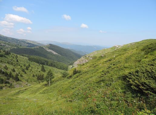 File:Central Balkan National Park 09.JPG - Wikimedia Commons