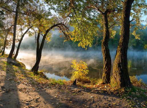 File:Ніжний ранковий світло.jpg - Wikimedia Commons