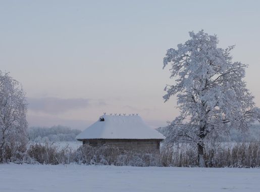 File:Suitsu jõgi 1.JPG - Wikimedia Commons