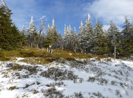 Soubor:Šerák-Keprník, Jeseníky (25).JPG – Wikipedie
