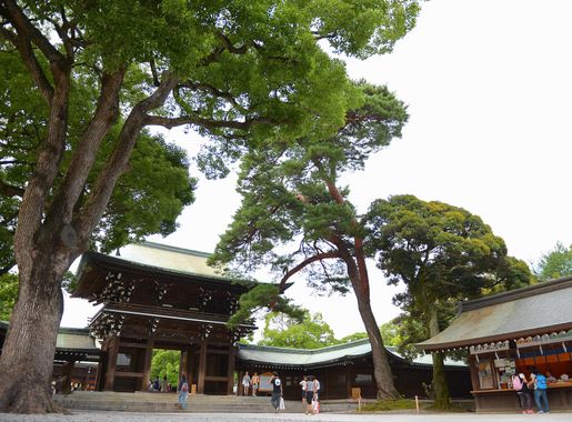 Revering the past: exploring Meiji Shrine > Yokota Air Base > Article  Display