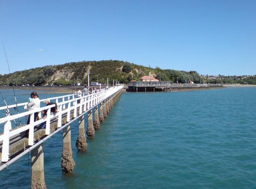 File:Fishing Fish Off Bastion Point, Auckland.jpg - Wikimedia Commons
