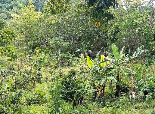 File:2023-03-21 Aldeia Leogore, Suku Holpilat, Posto Maucatar.jpg -  Wikimedia Commons