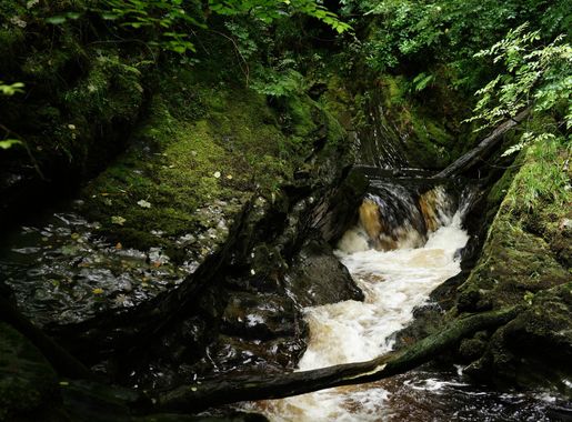 File:Afon Mynach - geograph.org.uk - 4609315.jpg - Wikimedia Commons
