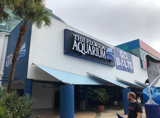 File:Florida aquarium 1.jpg - Wikimedia Commons
