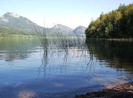 File:Fuschlsee (DFdB).JPG - Wikimedia Commons