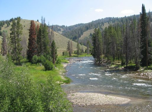 File:Salmon River.JPG - Wikimedia Commons