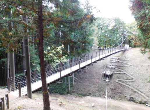 ファイル:Bridge of Adventure, Utsunomiya Children's Forest Park.jpg - Wikipedia