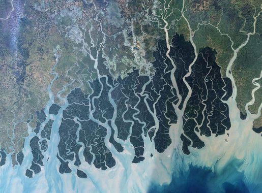 File:Sundarbans.jpg - Wikimedia Commons