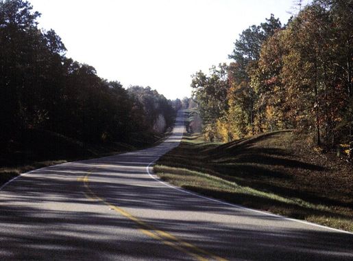 File:Talladega Scenic Drive - Winding through the Talladega National Forest  - NARA - 7722298.jpg - Wikimedia Commons