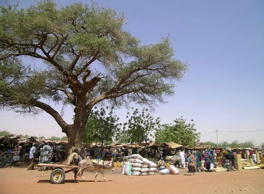 File:Marche de Gorom Gorom001.jpg - Wikipedia