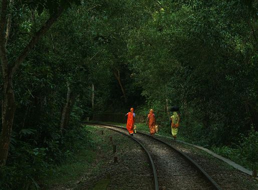 File:Way back home Lawachara National Park Srimongol Sylhet Bangladesh.jpg  - Wikimedia Commons