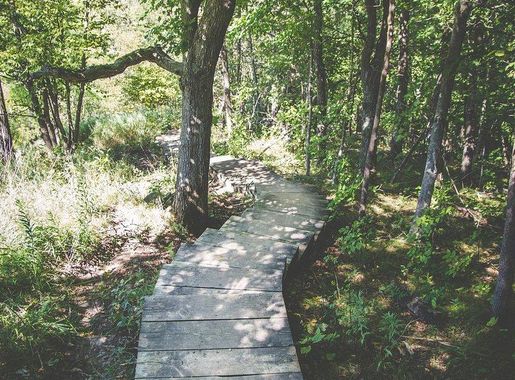 Original public domain image Wikimedia | Free Photo - rawpixel