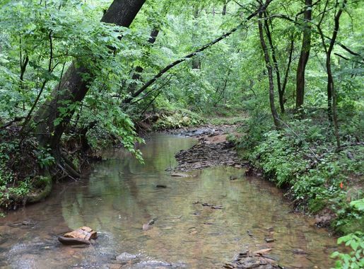 Monitoring at Chattahoochee River National Recreation Area (U.S. National  Park Service)