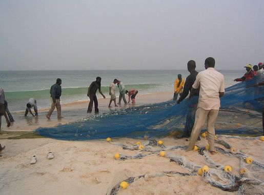 File:PêcheNouakchott.JPG - Wikimedia Commons