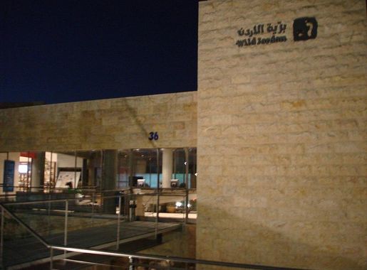 ملف:Wild Jordan Amman.JPG - ويكيبيديا