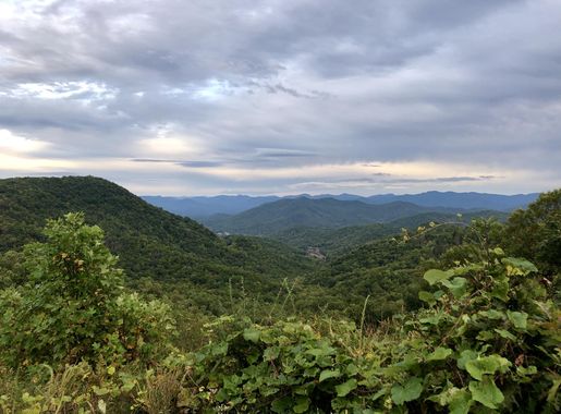 File:Cartoogechaye Creek Valley from Winding Stair Gap Overlook,  Cartoogechaye, NC (49610818178).jpg - Wikimedia Commons