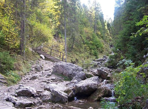 Plik:Homole a5.jpg – Wikipedia, wolna encyklopedia