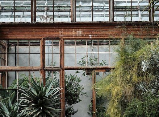 Greenhouse Public Domain Images | Free Photos, PNG Stickers, Wallpapers &  Backgrounds - rawpixel