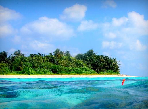 File:Vaavu Atoll, Maldives - panoramio (23).jpg - Wikimedia Commons