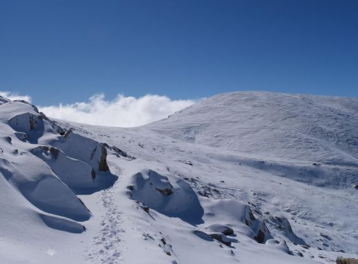 File:Main Range Track, Kosciuszko National Park 12.jpg - Wikimedia Commons