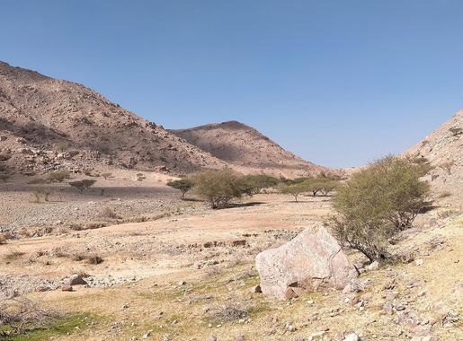 File:Wadi Naqat -- Tributary of Wadi Shah - Ras al Khaimah.jpg - Wikimedia  Commons