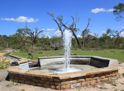 Flower Park at Chickasaw National Recreation Area to open - Chickasaw  National Recreation Area (U.S. National Park Service)