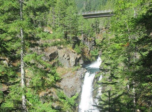 Free Vectors, PNGs, Mockups & Backgrounds | rawpixel