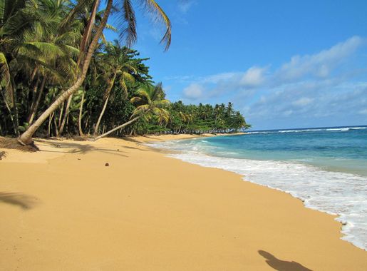 File:Sao Tome Praia Inhame 24 (16063202247).jpg - Wikimedia Commons