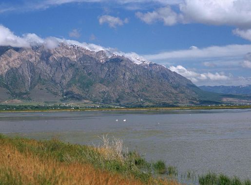 Free picture: scenic, bear, river, migratory, bird, refuge, Brigham, city,  Utah