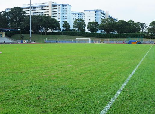 File:Woodlands Stadium Pitch.JPG - Wikipedia