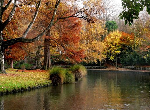 File:Hagley Park New Zealand. (8069588653).jpg - Wikimedia Commons