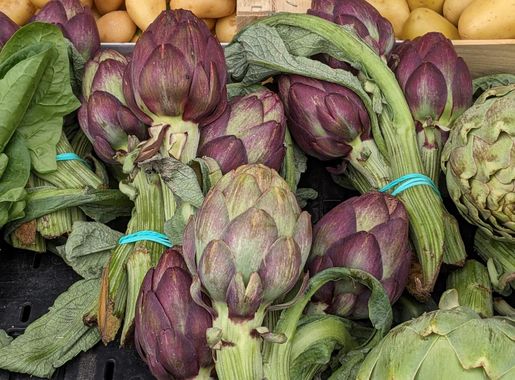Dosiero:Artiŝoko en merkato.jpg - Vikipedio