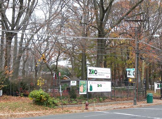 File:SI Zoo Martling jeh.JPG - Wikimedia Commons