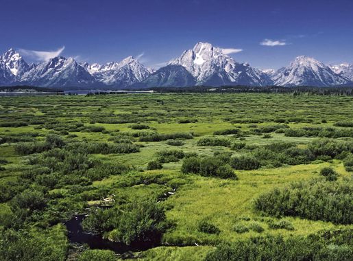File:Willow Flats area and Teton Range in Grand Teton National Park.jpg -  Wikimedia Commons