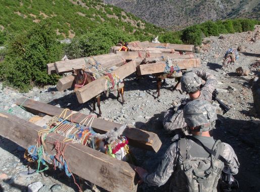 File:Flickr - The U.S. Army - Stopping timber smuggling.jpg - Wikimedia  Commons
