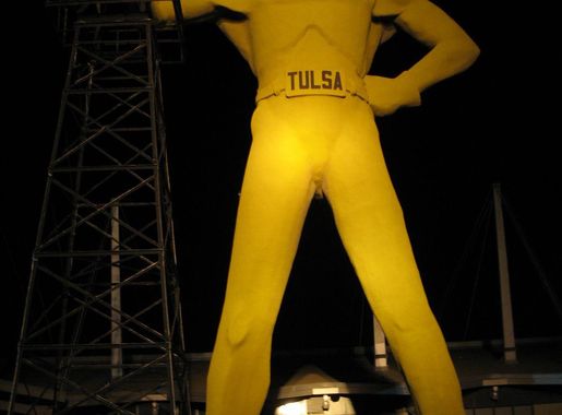 File:GoldenDriller.jpg - Wikipedia