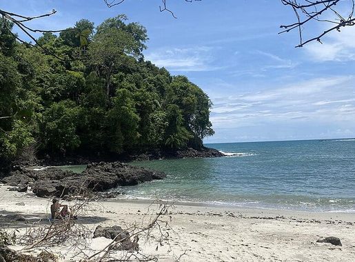 File:IMGbeachmanuelantonio.jpg - Wikipedia