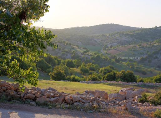 ملف:Ibbin, Ajloun Governorate, Northern Jordan 01.jpg - ويكيبيديا