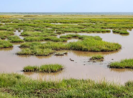 File:Amboseli National Park Kenya 06.jpg - Wikimedia Commons