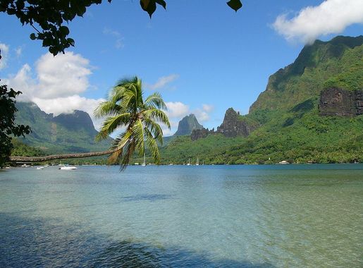 File:Moorea baie cook.JPG - Wikimedia Commons