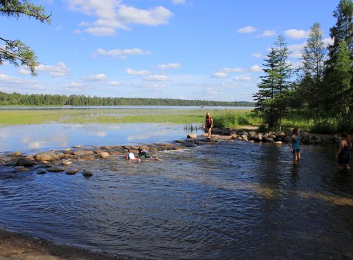 Headwaters Rapids at lake Itasca state park, Minnesota image - Free stock  photo - Public Domain photo - CC0 Images